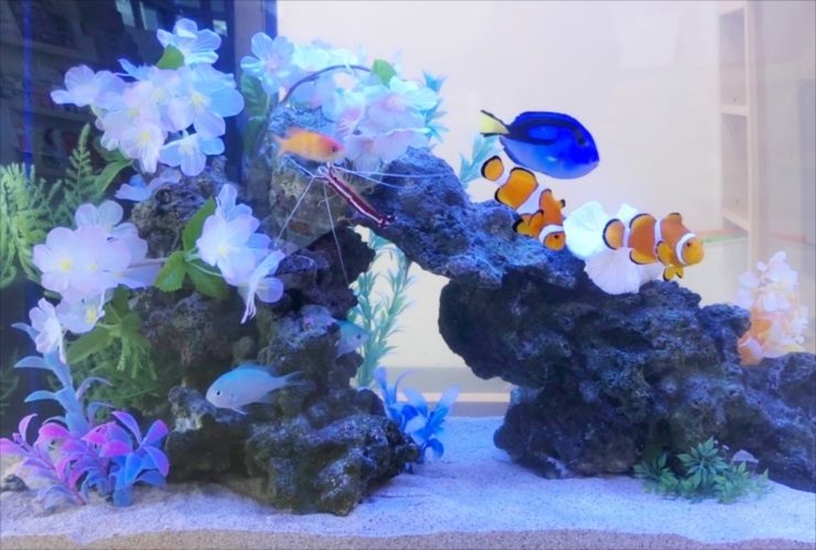 造花と岩で飾られた海水魚水槽を泳ぐクマノミと熱帯魚群