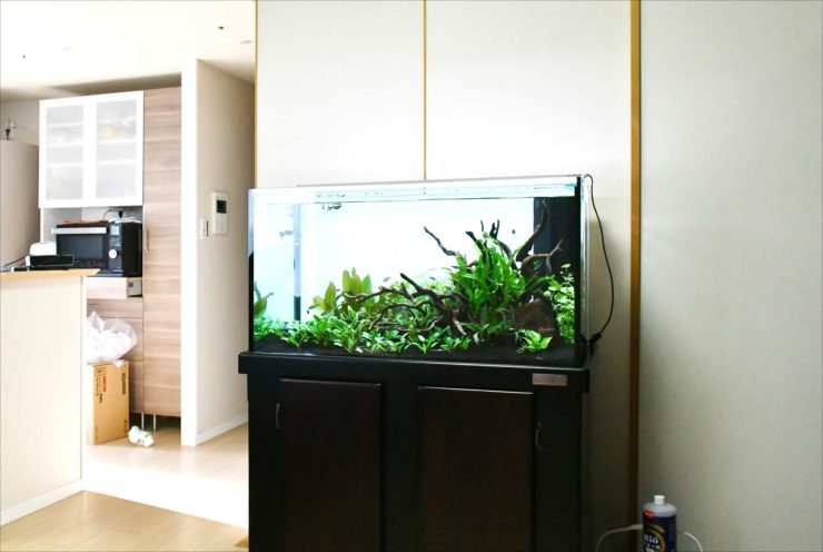 リビングに設置された流木と水草の大型水槽レイアウト