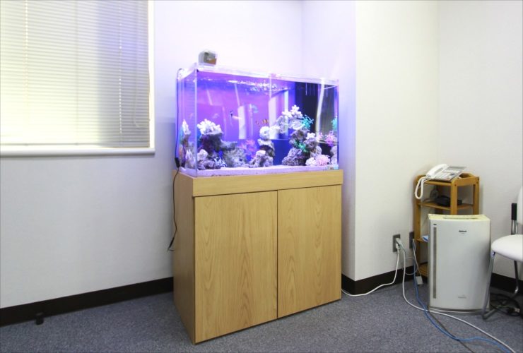 木目調の水槽台に設置された青い照明の海水魚水槽