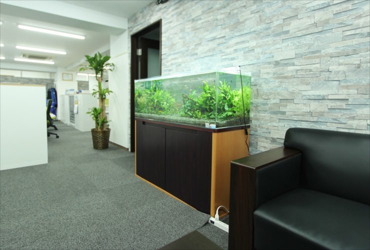 オフィスに設置された大型の水草水槽と黒いソファの風景