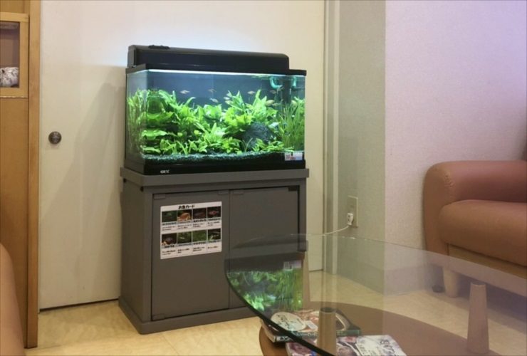 品川区 クリニックの待合室 水草水槽レンタル事例 レイアウトリニューアルのサムネイル画像