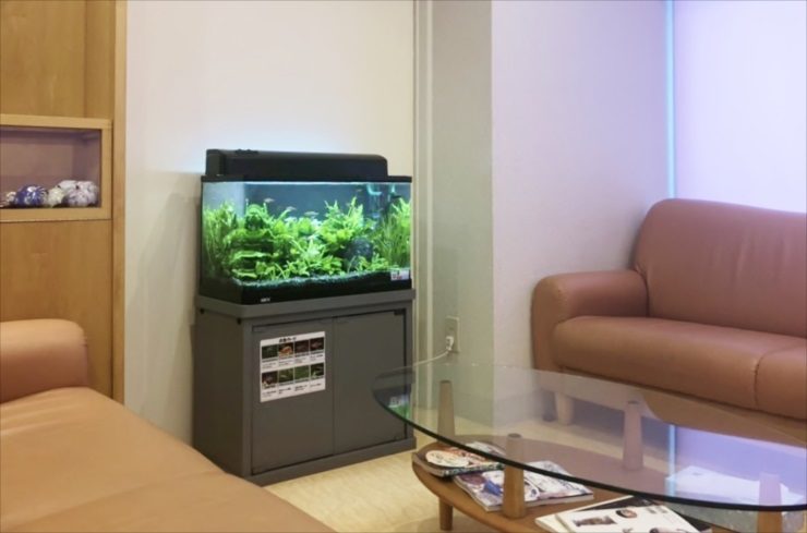 ソファのある待合室に設置された水草熱帯魚水槽の全景