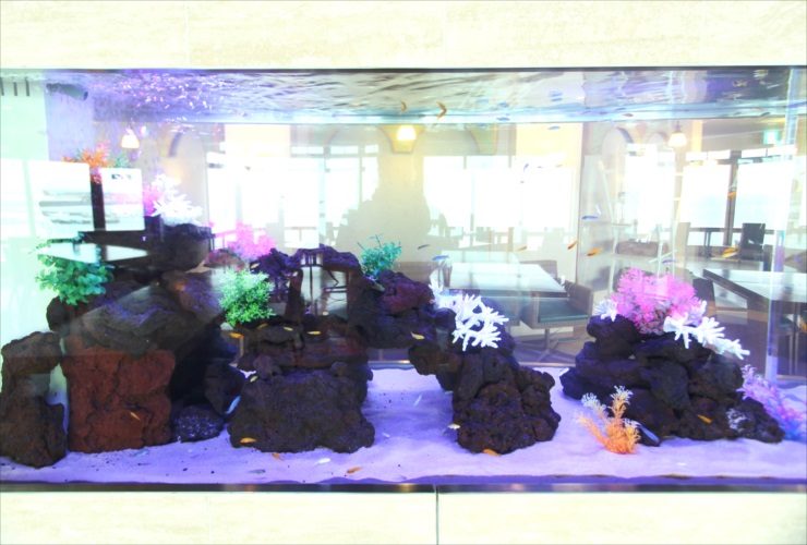 溶岩石とカラフルな人工サンゴを配置した大型海水魚水槽