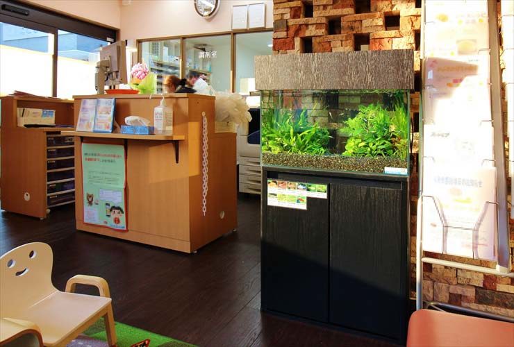 待合室の受付横に設置された水草水槽と黒い水槽台