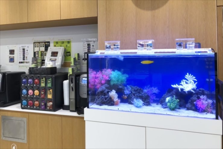 休憩室に設置された海水魚水槽とコーヒーサーバー