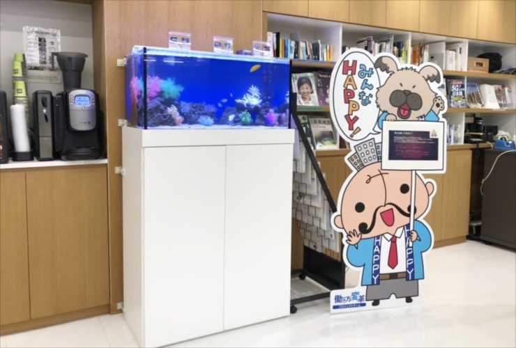 白い水槽台に設置された海水魚水槽とキャラクター看板