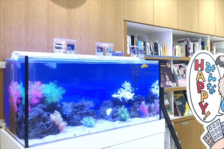 本棚の横に設置された青い背景の海水風レイアウト水槽