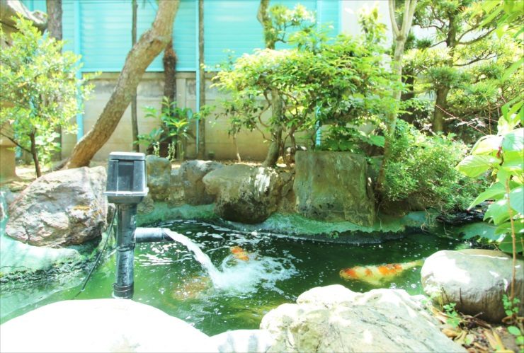 池 掃除 メンテナンス