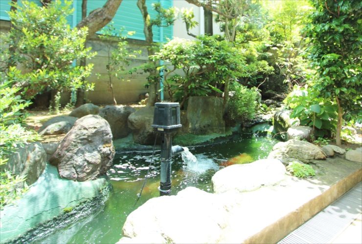 庭園の池に設置されたウォータークリーナーと金魚の姿