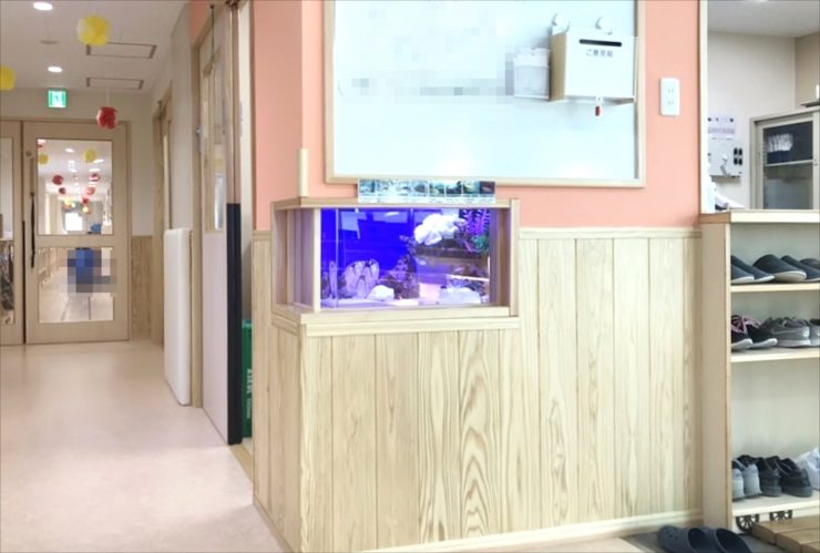 墨田区　保育園のエントランス　60cm海水魚水槽　レンタル事例