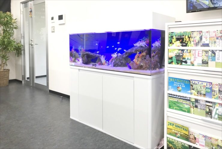 千葉県千葉市 会社事務所 120cm海水魚水槽 レンタル事例のサムネイル画像