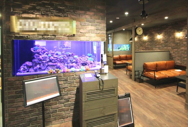 渋谷区 オフィスのエントランス 大型海水魚・サンゴ水槽 リース事例 メイン画像