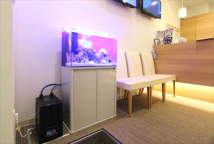茨城県つくば市　歯科クリニック　待合室　60cm海水魚水槽レンタル事例のサムネイル画像