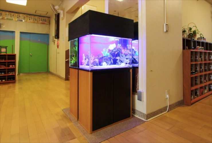 杉並区 保育園のエントランス 60cm海水魚・淡水魚 水槽販売・メンテナンス事例のサムネイル画像