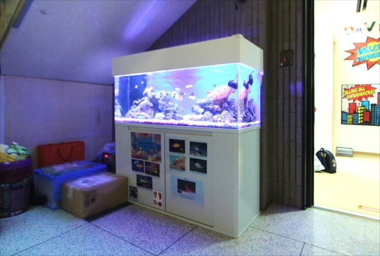 港区 オフィス事務所 120cm海水魚水槽 水槽リース・メンテナンス事例のサムネイル画像