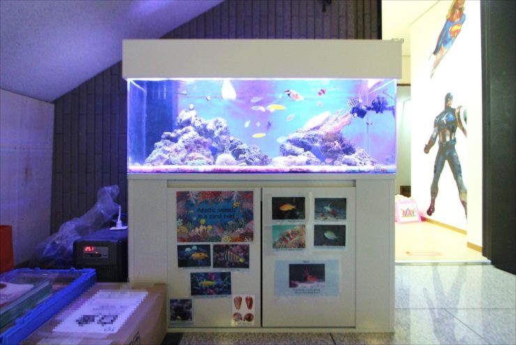 海水魚が泳ぐ白い大型水槽と写真が貼られた水槽台