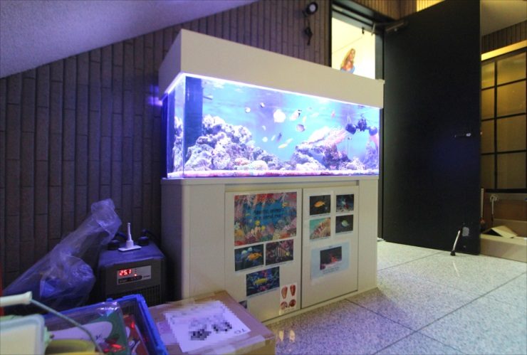 白い水槽台に設置された海水魚水槽とライブロックの構成