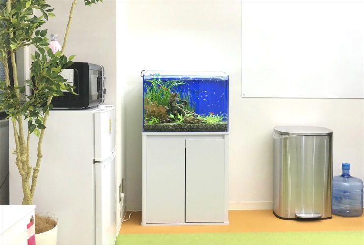 冷蔵庫とゴミ箱の間に設置された小型熱帯魚水槽の全景
