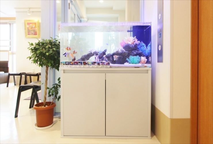 調布市　ファミリークリニック　待合室に設置　90cm海水魚水槽リース事例のサムネイル画像