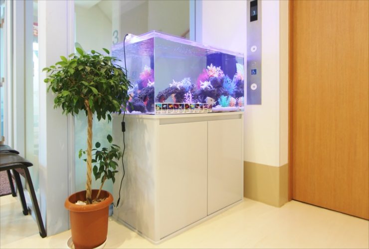 エレベーター横に設置された海水魚水槽と観葉植物