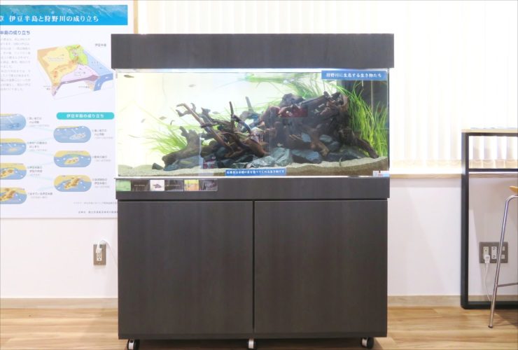 流木と水草を配置した黒い水槽台付きの大型水槽