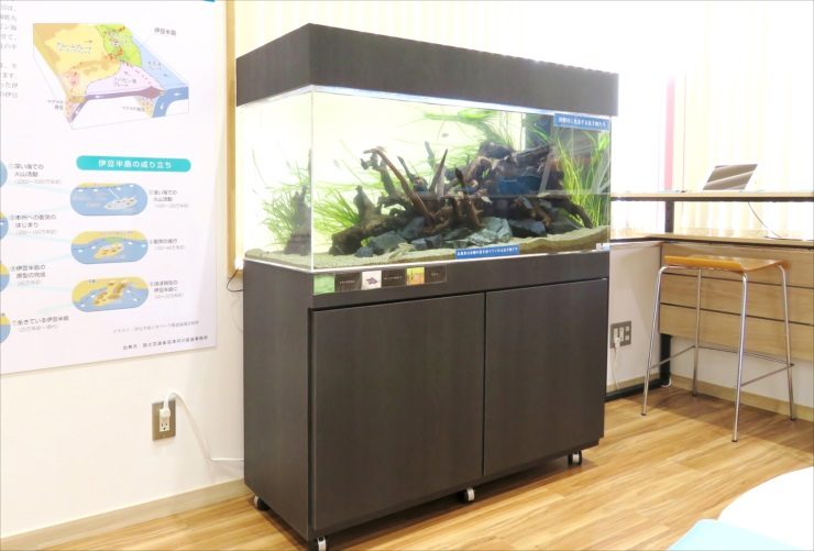 流木と水草を配置した大型水槽と黒い水槽台の設置例