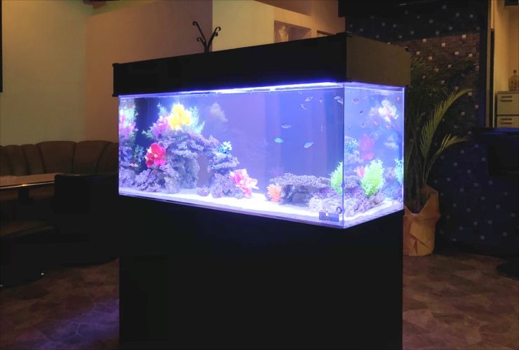 青い照明に照らされた海水魚水槽とカラフルな人工サンゴ