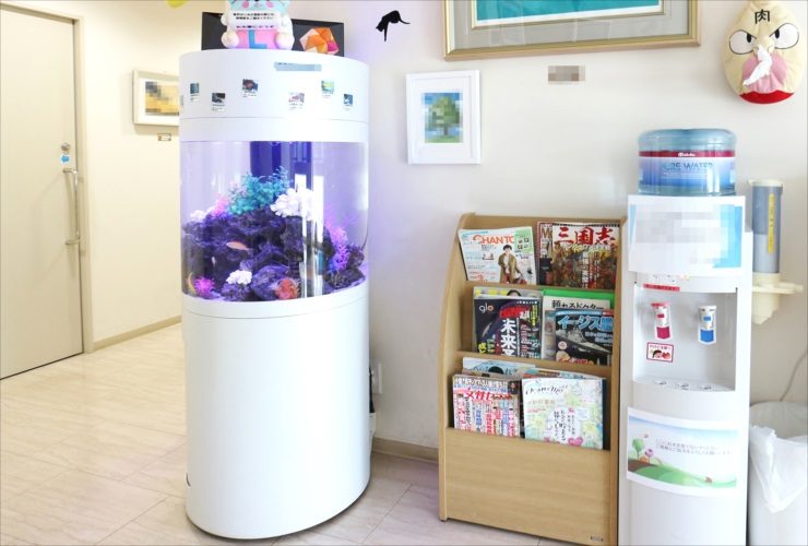 練馬区 皮膚科クリニック 待合室 60cm円柱海水魚水槽 レンタル事例 水槽画像1