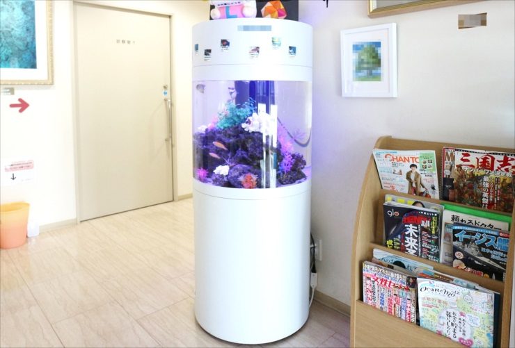 練馬区 皮膚科クリニック 待合室 60cm円柱海水魚水槽 レンタル事例 水槽画像2
