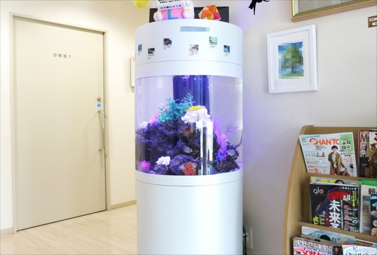 待合室に設置された円柱型の海水魚水槽とマガジンラック