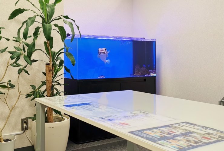 会議室のテーブル奥に設置された大型の海水魚水槽
