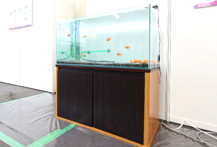 木目調の水槽台に設置された金魚が泳ぐ大型水槽