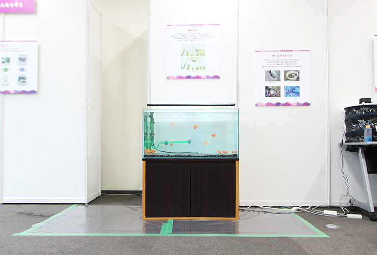展示会場に設置された金魚が泳ぐ水槽と解説パネル