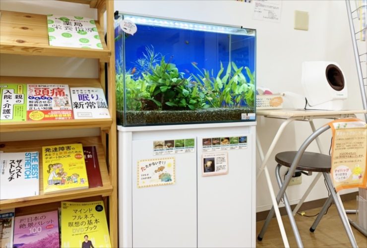 文京区　薬局の待合室 60cm淡水魚水槽レンタル　再設置事例のサムネイル画像