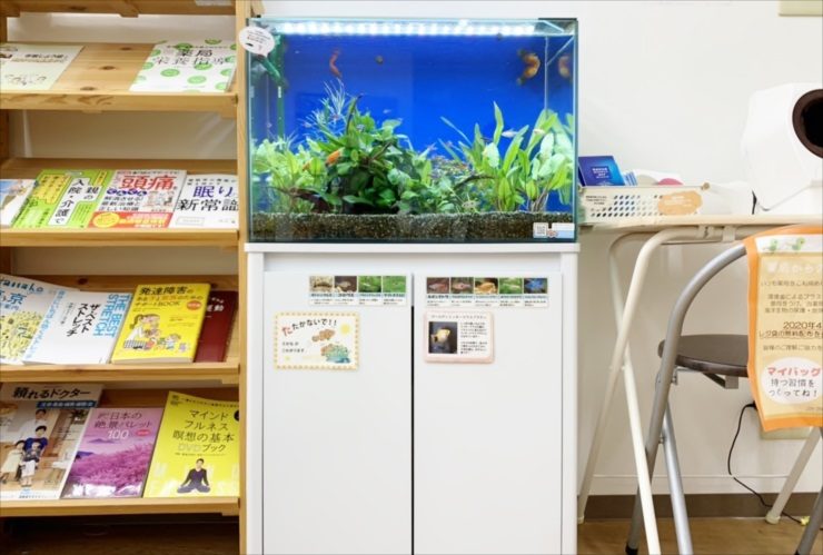 文京区 薬局の待合室 60cm淡水魚水槽レンタル 再設置事例 水槽画像2