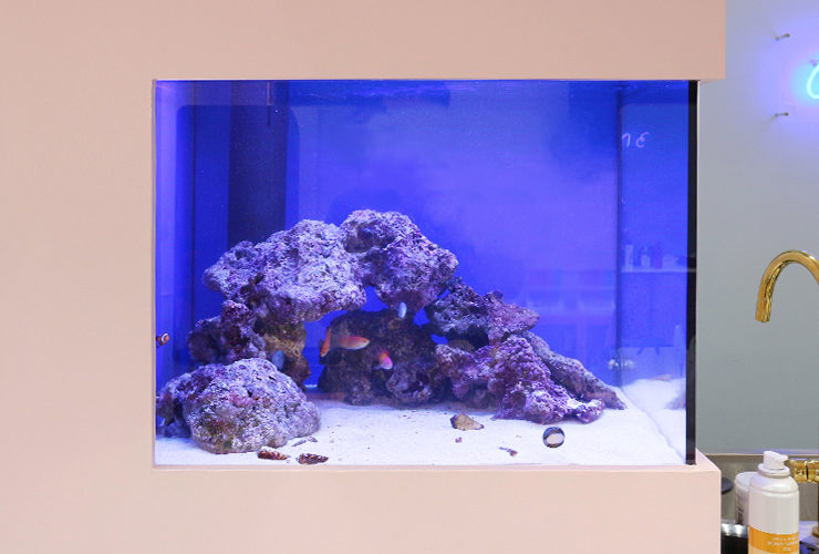 青い照明に照らされた海水魚水槽とライブロックのレイアウト