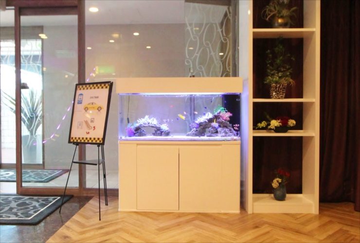 白い水槽台に設置された海水魚水槽と室内のインテリア