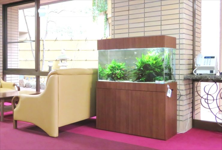 老人ホーム　淡水魚水槽