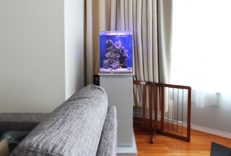 個人宅のリビング 30cm海水魚水槽レンタル事例 メイン画像