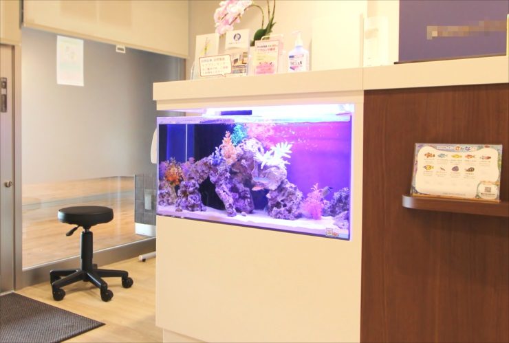 受付カウンターに埋め込まれた海水魚水槽と待合室の風景