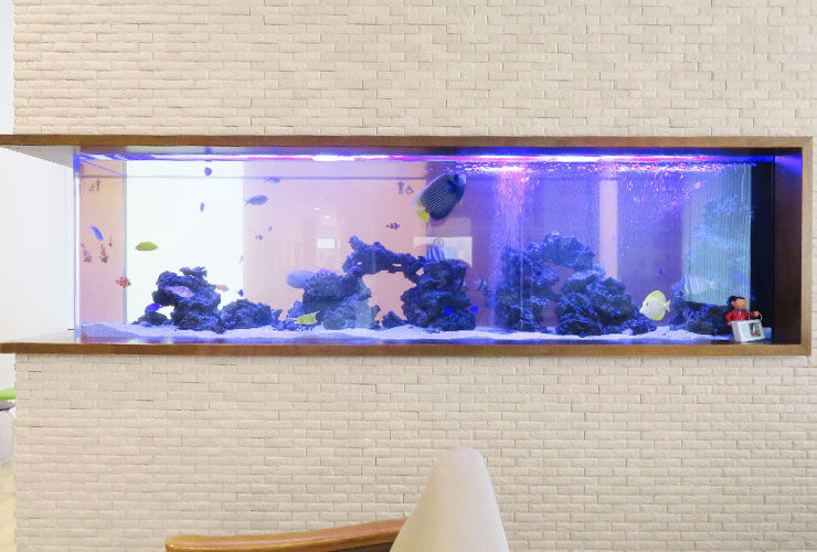 愛知県丹波郡 整形外科の待合室 220cm海水魚水槽 設置後の水槽メンテナンスのサムネイル画像
