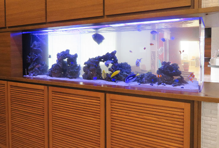 木目調の棚に埋め込まれた大型の海水魚水槽と熱帯魚