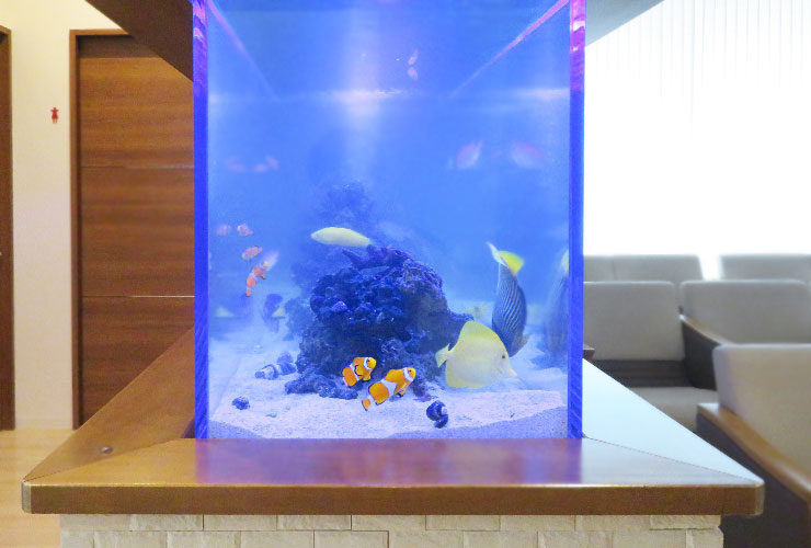 待合室に設置された海水魚が泳ぐ青い照明の水槽