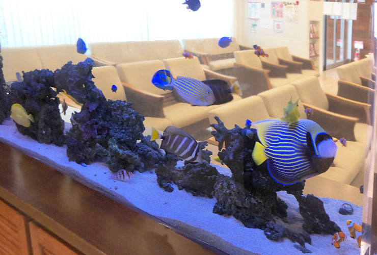 待合室の椅子を背景に泳ぐ海水魚と大型水槽のレイアウト