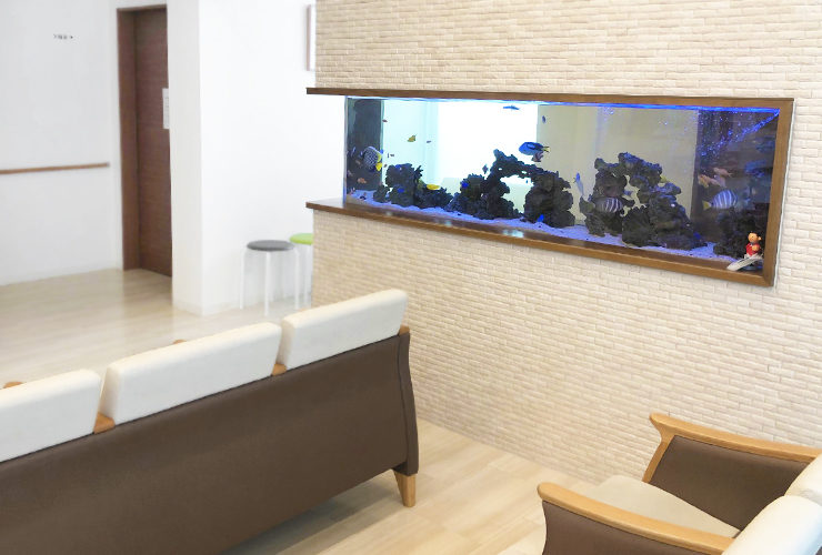 待合室の壁に埋め込まれた大型海水魚水槽とソファ