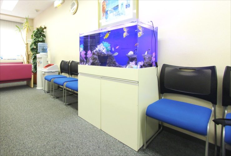 渋谷区 クリニックの待合室 90cm海水魚水槽レンタル事例 その後 メイン画像