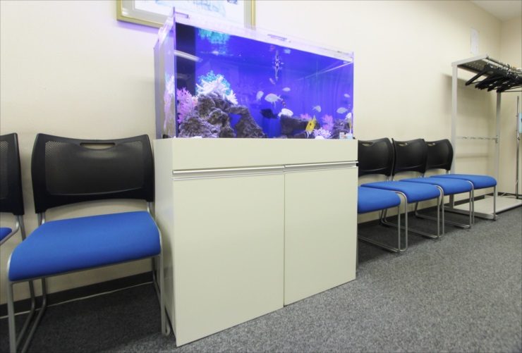 待合室の椅子横に設置された海水魚水槽と白い水槽台