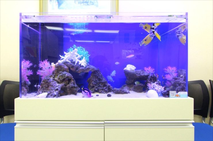 青い照明の海水魚水槽と白い水槽台に泳ぐ熱帯魚