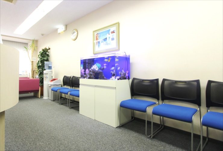 待合室の椅子と並んで設置された海水魚水槽