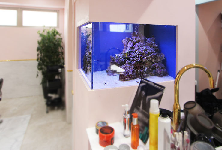 美容室の壁に埋め込まれた海水魚水槽とライブロック
